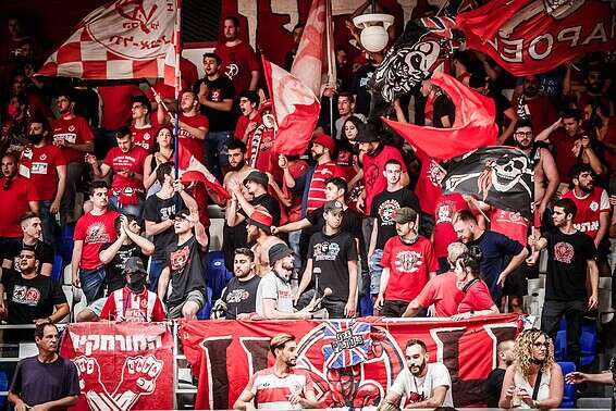 צילום: עודד קרני